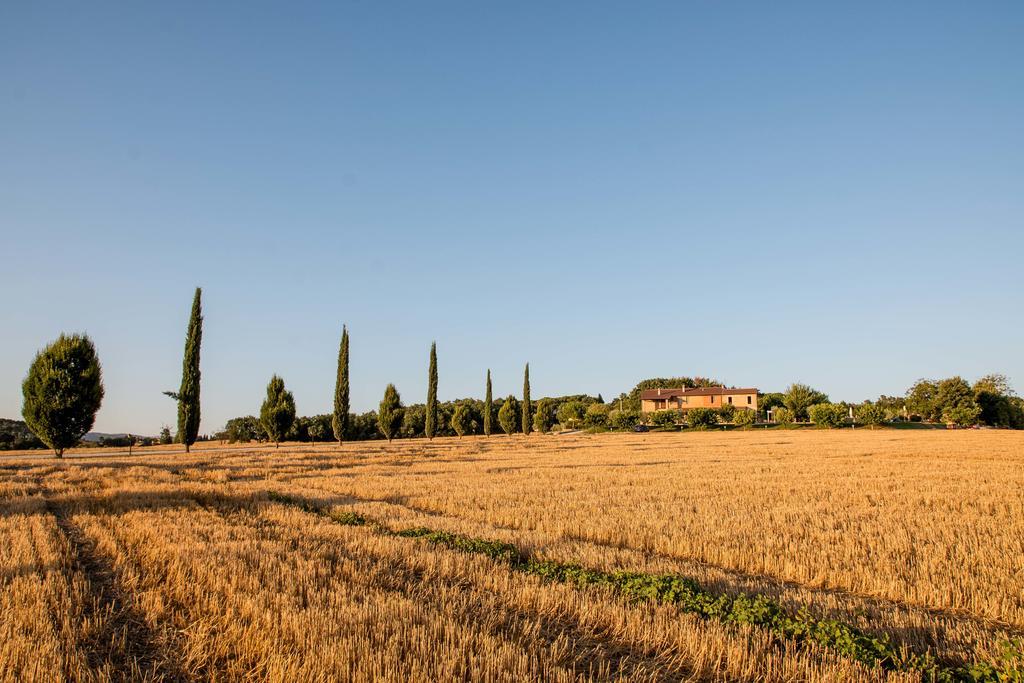 Agriturismo Il Tiro Castel del Piano エクステリア 写真
